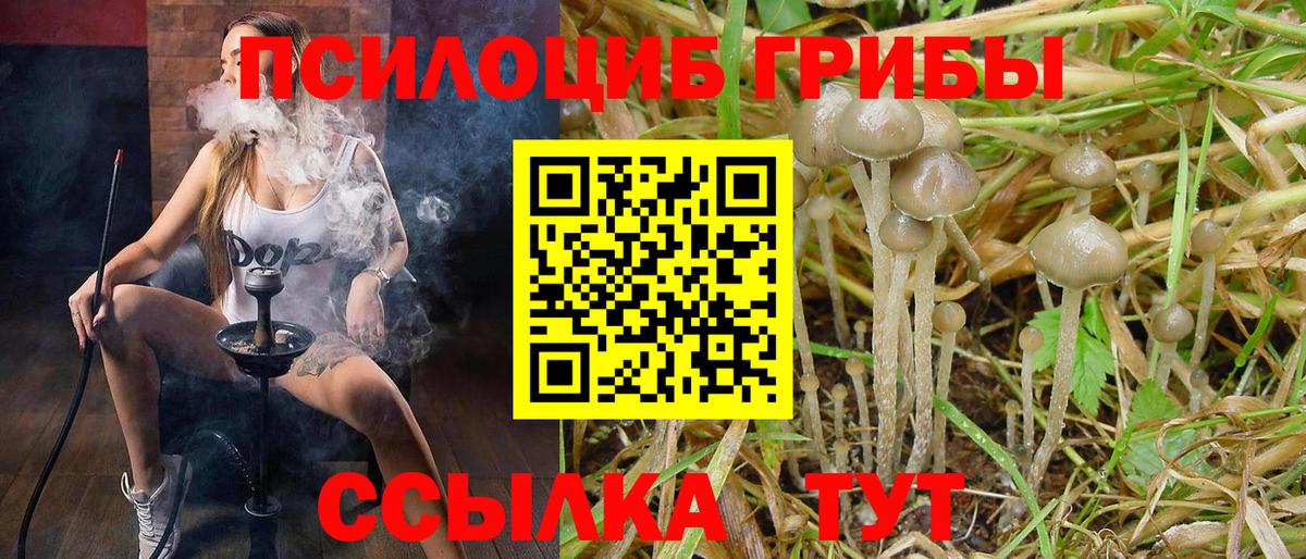 Псилоцибиновые грибы прущие грибы Анжеро-Судженск